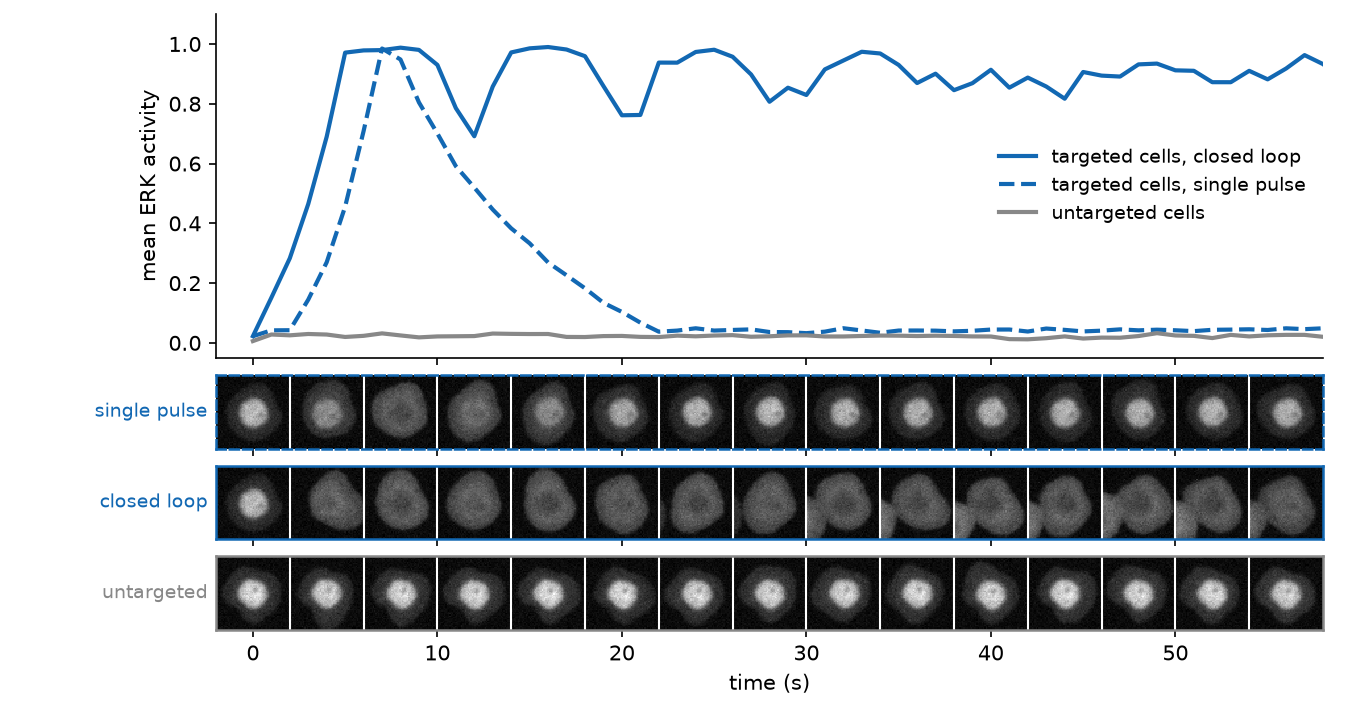 single pulse versus closed loop