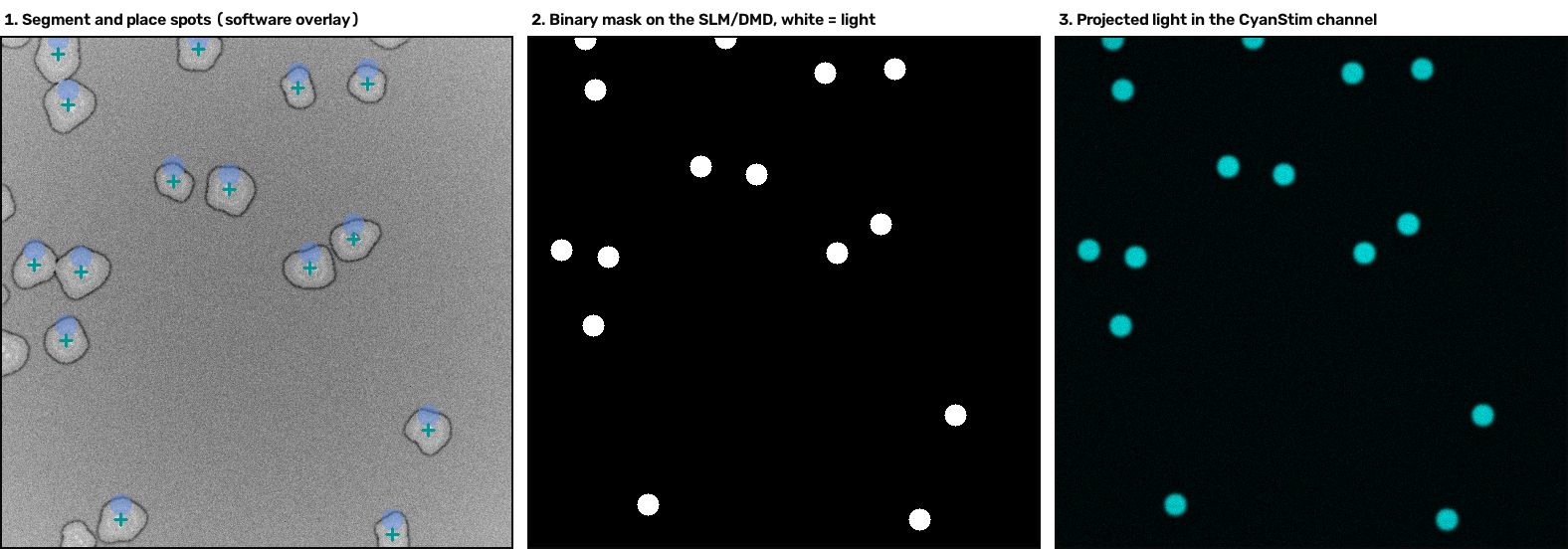 from decision to projected light